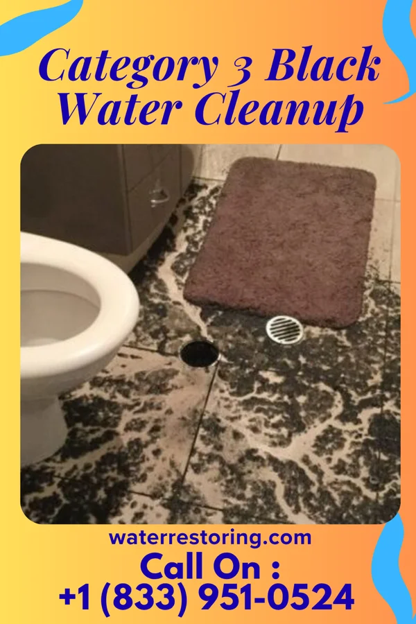 Category 3 Black Water Cleanup in Marshall, AR