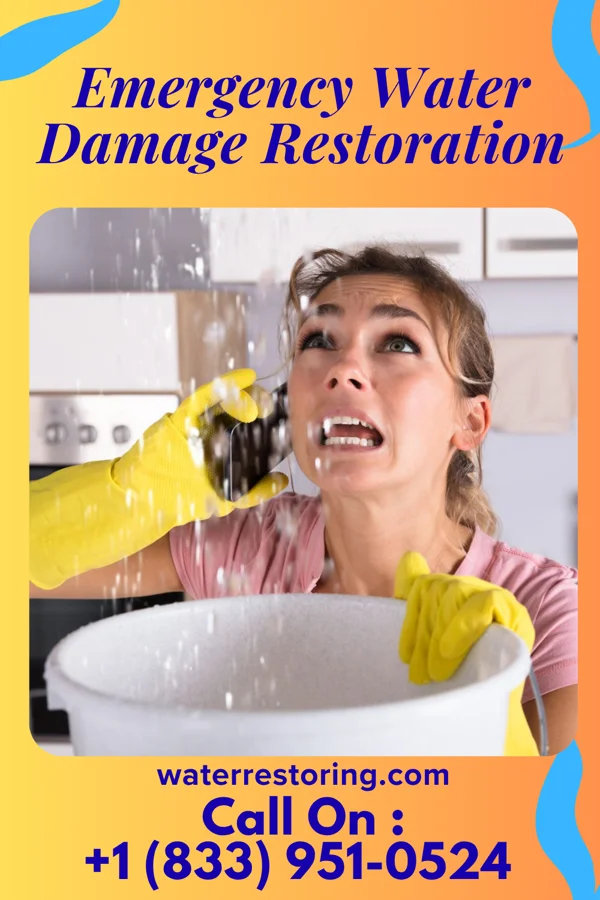 Emergency Water Damage Restoration in Marshall, AR